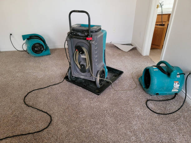  Mcgovern, PA Water damage restoration Pros