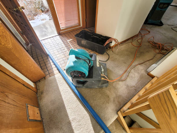 Best Local water damage restoration  in Mcgovern, PA