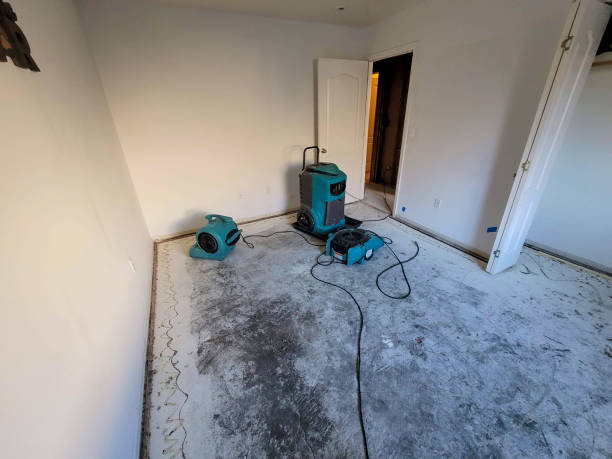 Best Basement water damage restoration  in Mcgovern, PA