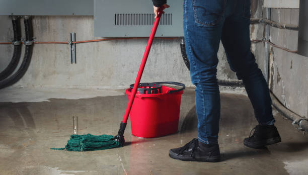 Best Carpet water damage restoration  in Mcgovern, PA