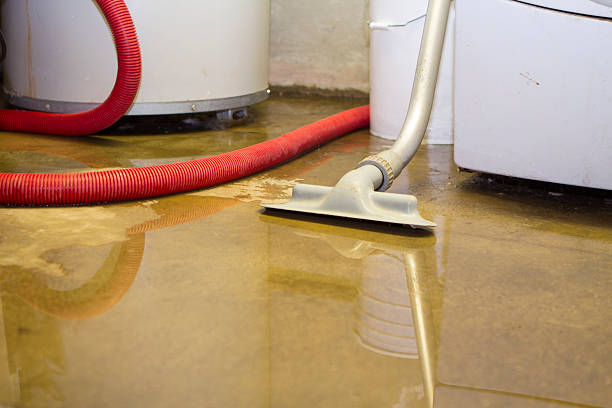 Best Ceiling water damage repair  in Mcgovern, PA