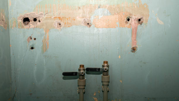 Best Mold removal after water damage  in Mcgovern, PA