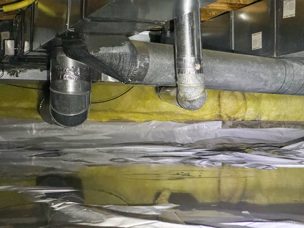Best Carpet water damage restoration  in Mcgovern, PA