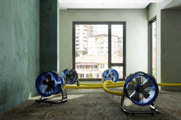 Water damage restoration process in Mcgovern, PA